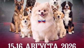 В Воронеже впервые соберутся чемпионы и редкие породы собак со всей России В Воронеже впервые соберутся чемпионы и редкие породы собак со всей России