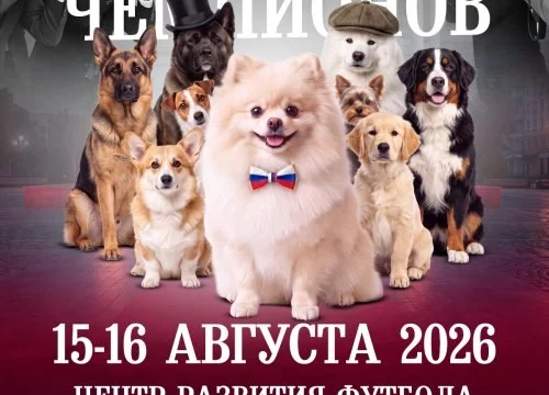В Воронеже впервые соберутся чемпионы и редкие породы собак со всей России В Воронеже впервые соберутся чемпионы и редкие породы собак со всей России